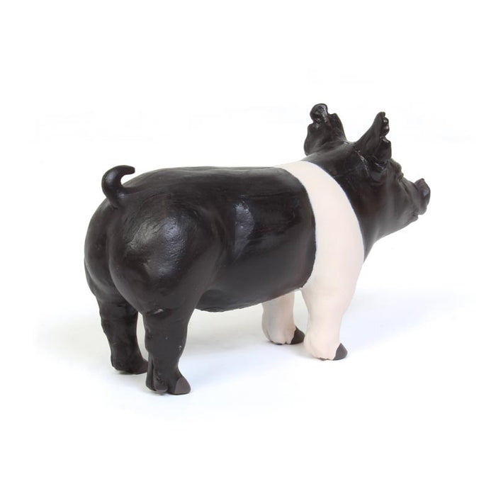 1/16 Little Buster Toys Champion Hampshire Pig