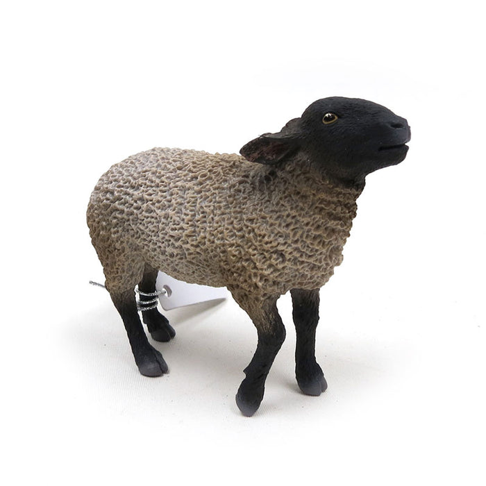 Suffolk Sheep by CollectA with Black Face and Feet