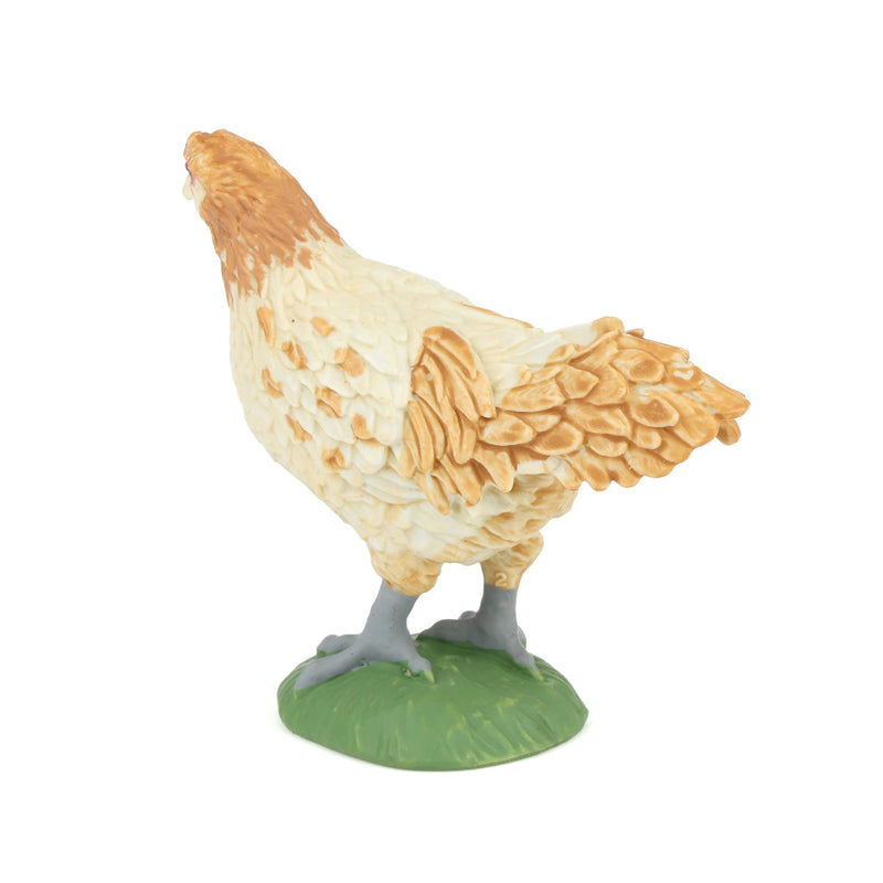 Ameraucana Chicken by Safari