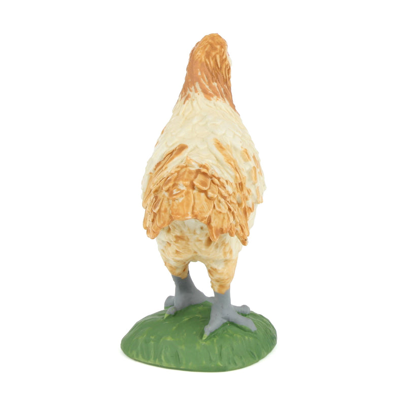 Ameraucana Chicken by Safari