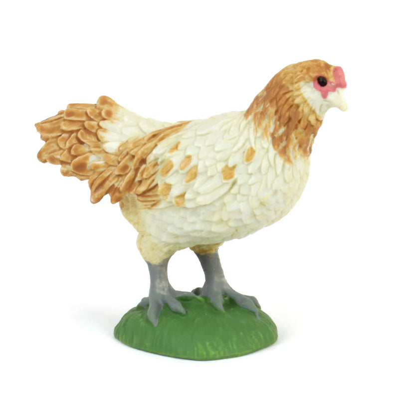 Ameraucana Chicken by Safari