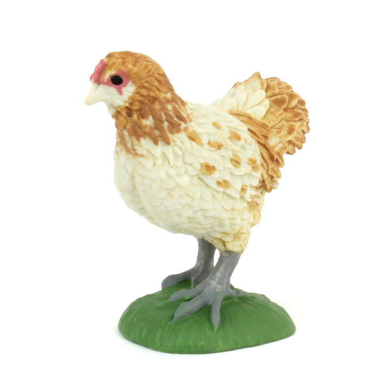 Ameraucana Chicken by Safari