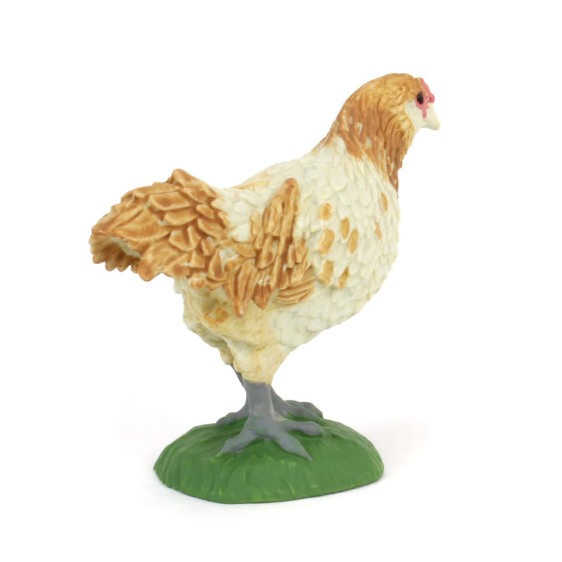 Ameraucana Chicken by Safari