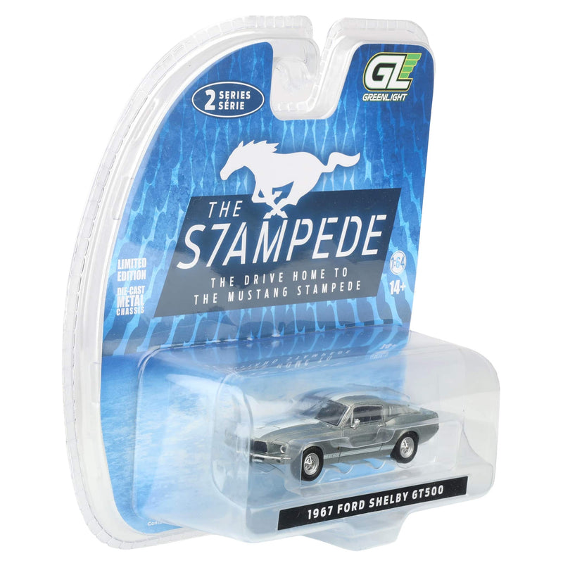 Raw Chase Unit ~ 1/64 1967 Shelby GT-500 Fastback, The Mustang Stampede Series 2