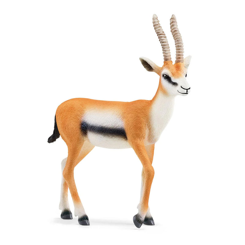 Thomson's Gazelle by Schleich