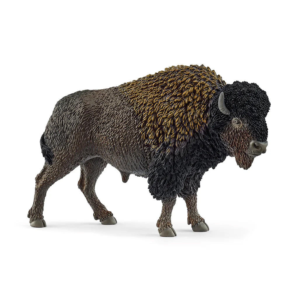Bison by Schleich — Outback Toys