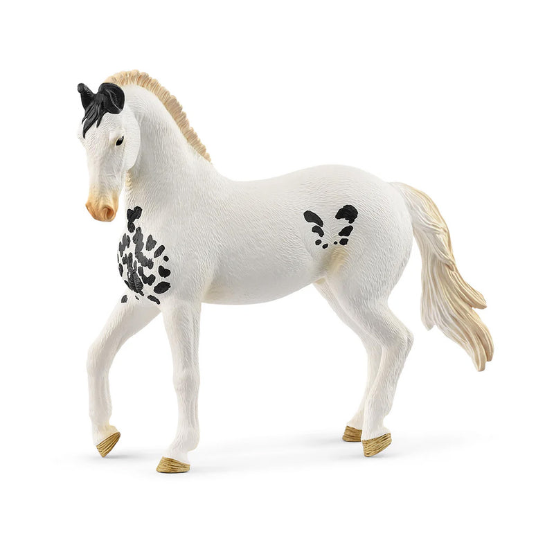 Marwari Horse Stallion by Schleich