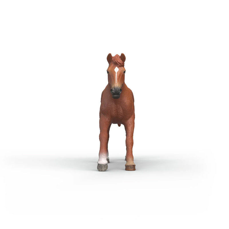English Thoroughbred Stallion by Schleich