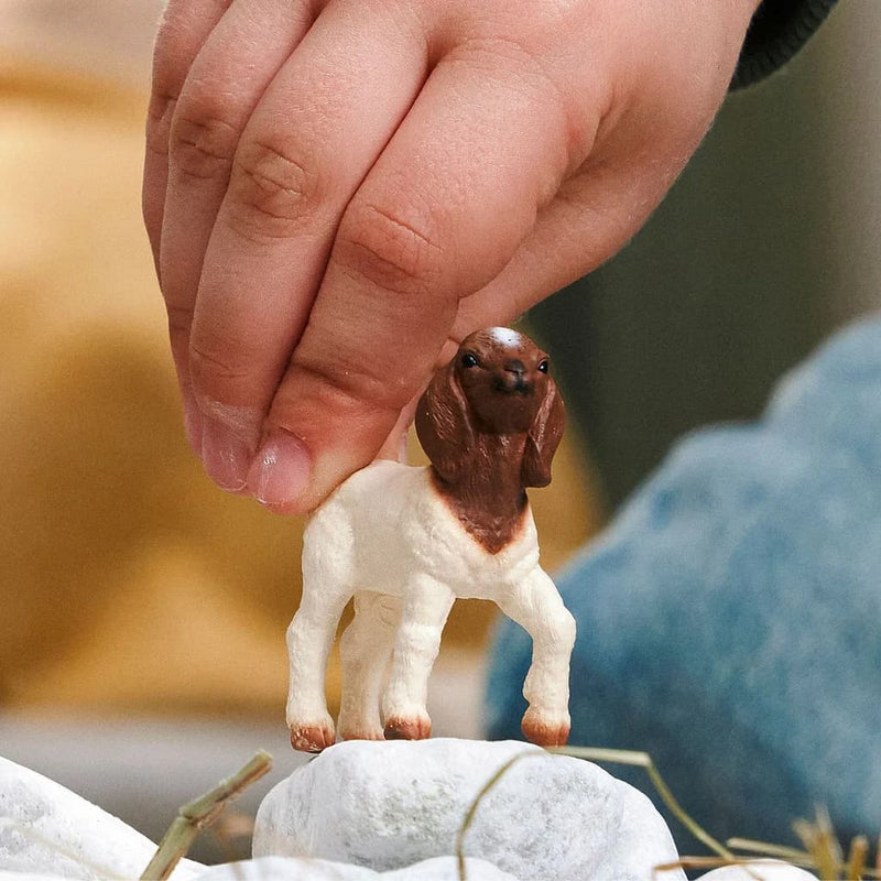 Boer Goat Kid by Schleich