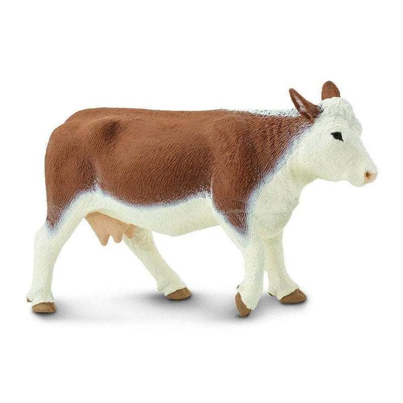 Hereford Cow by Safari