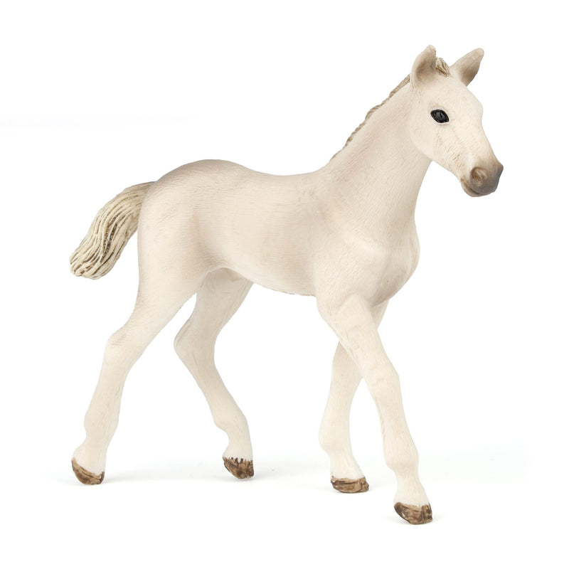 Holsteiner Foal by Schleich