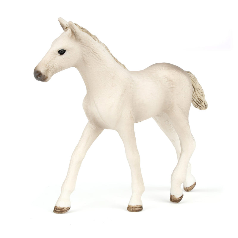 Holsteiner Foal by Schleich