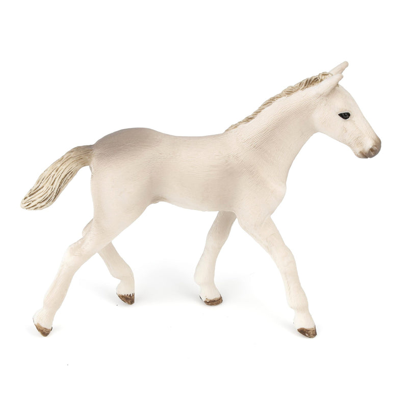 Holsteiner Foal by Schleich