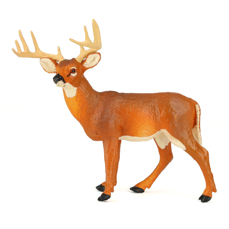 Whitetail Buck by Safari
