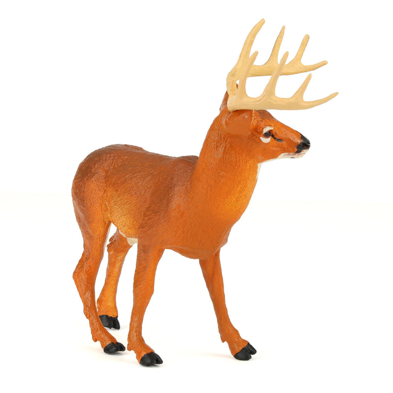 Whitetail Buck by Safari