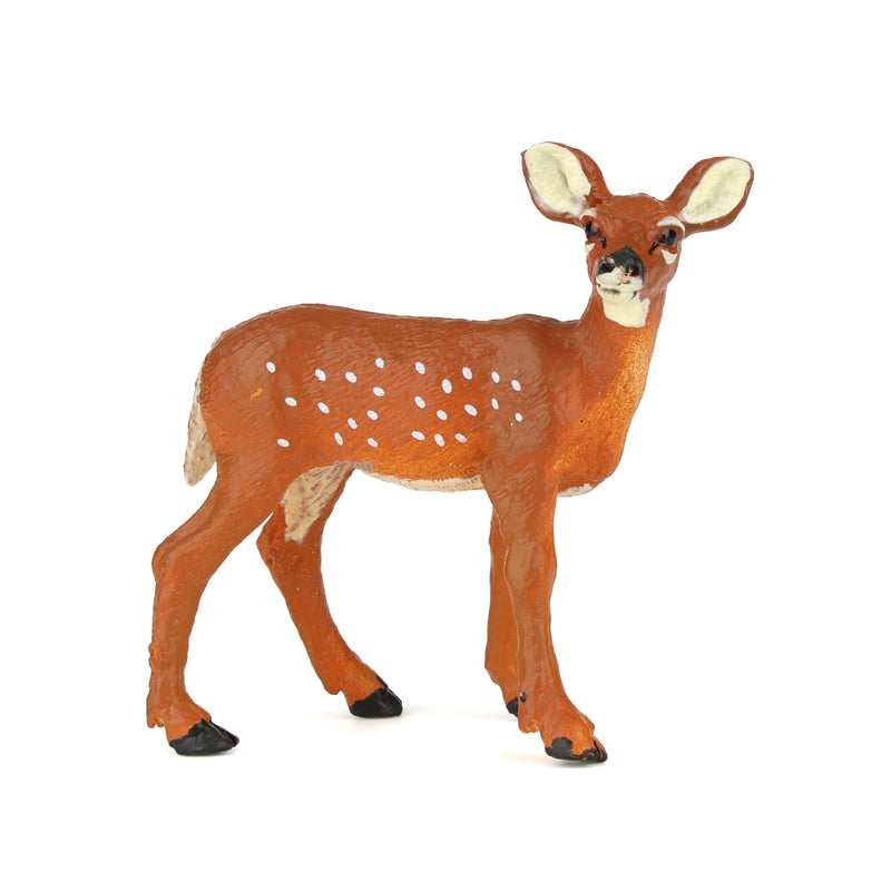 Whitetail Fawn by Safari