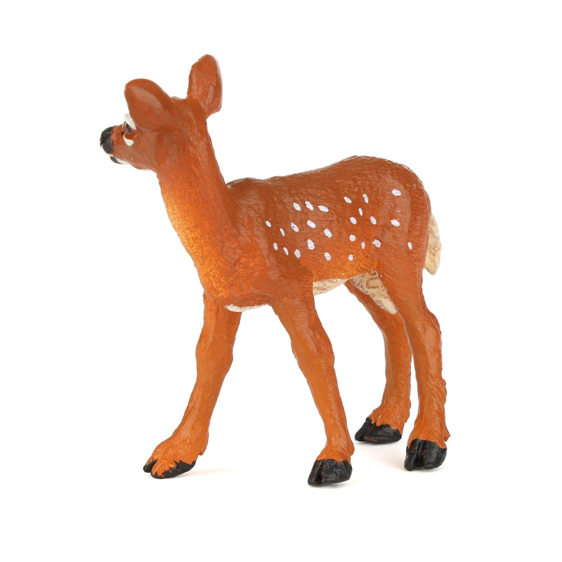 Whitetail Fawn by Safari