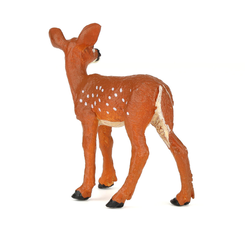 Whitetail Fawn by Safari