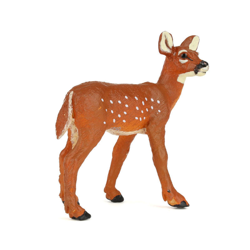 Whitetail Fawn by Safari