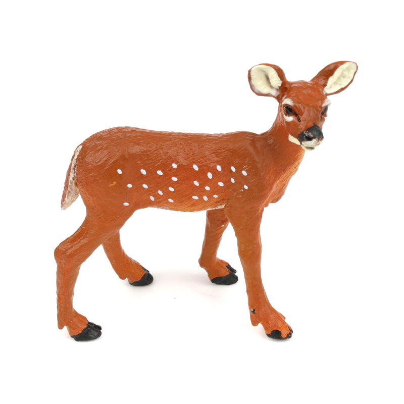 Whitetail Fawn by Safari