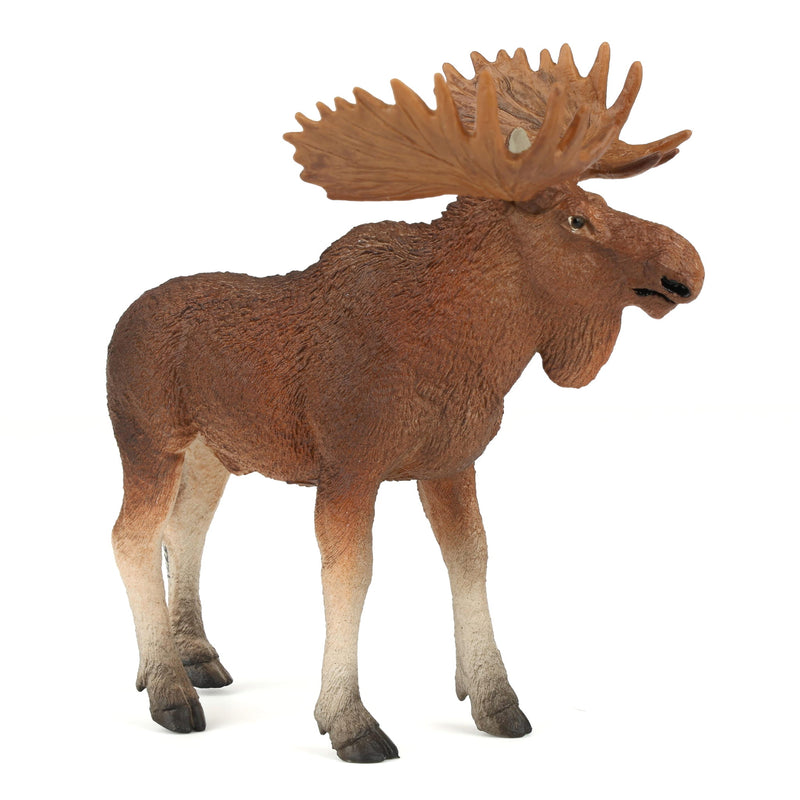 Bull Moose by Safari