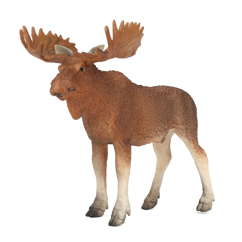 Bull Moose by Safari
