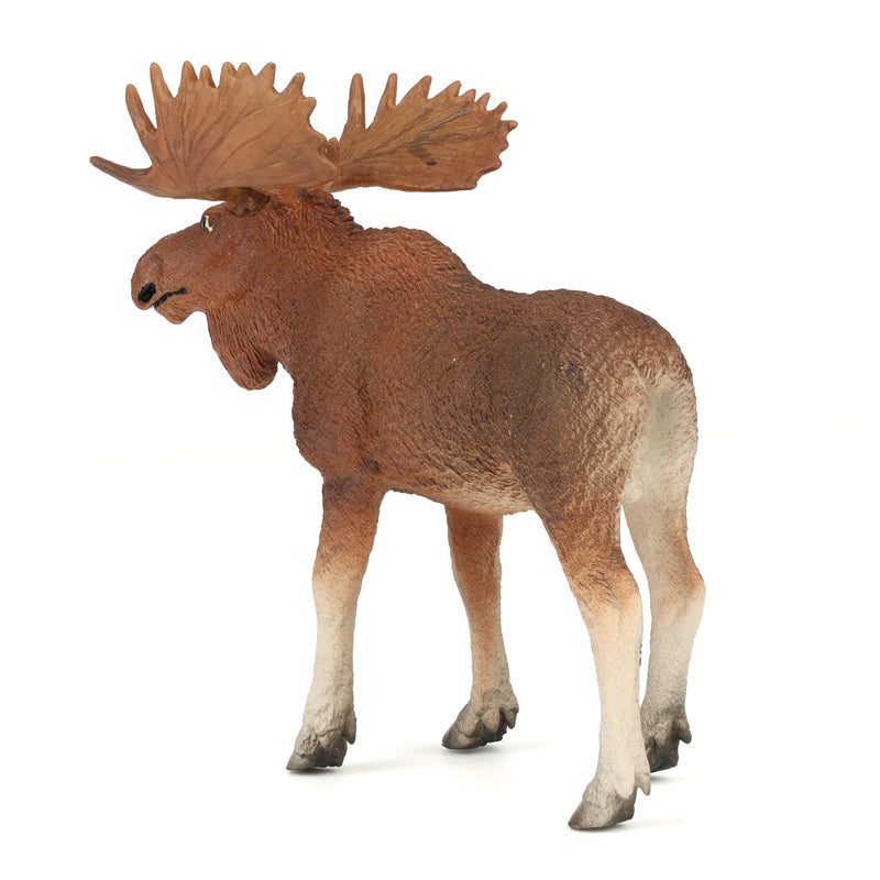Bull Moose by Safari