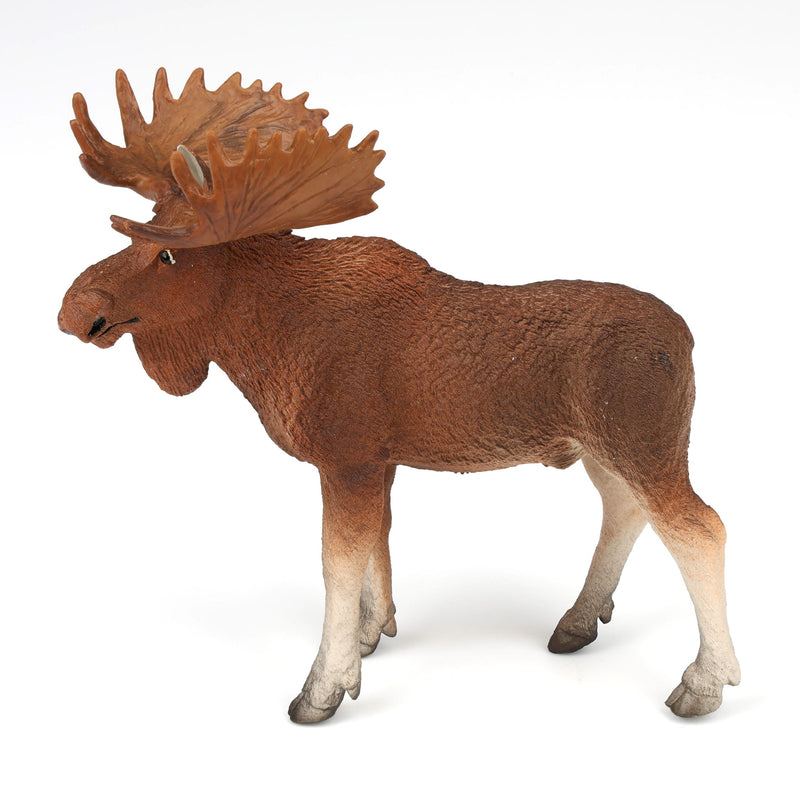 Bull Moose by Safari