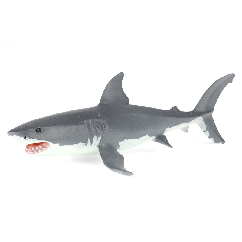 Great White Shark by Safari