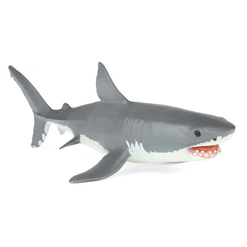 Great White Shark by Safari