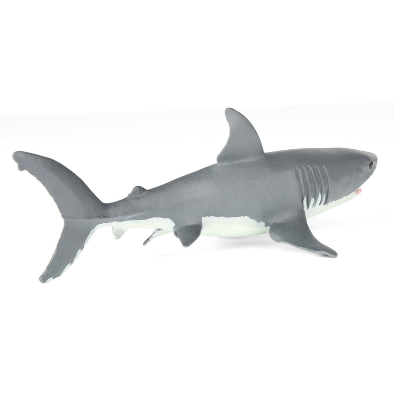Great White Shark by Safari