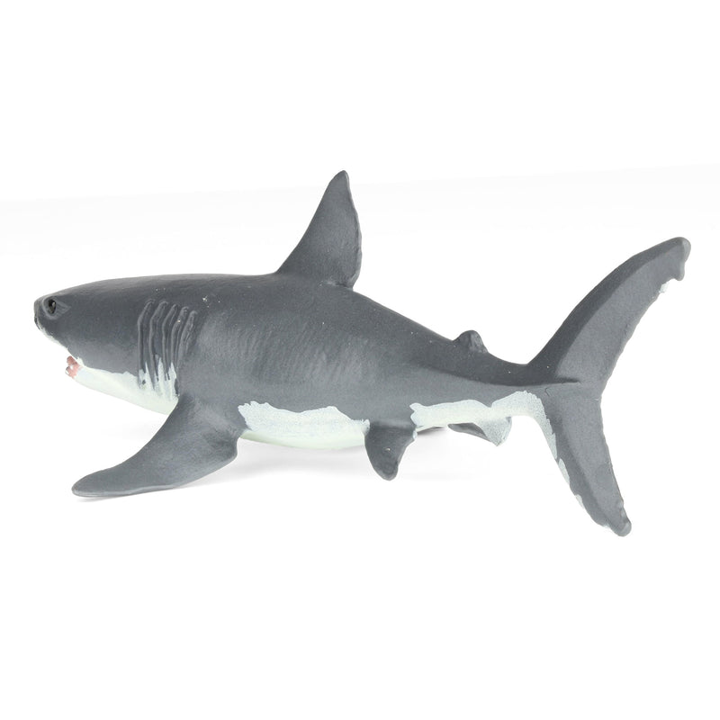 Great White Shark by Safari