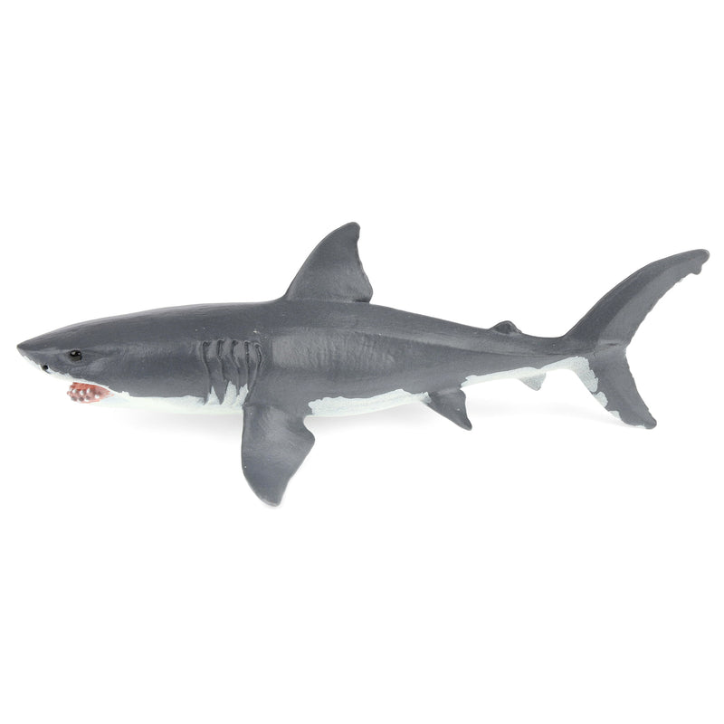 Great White Shark by Safari