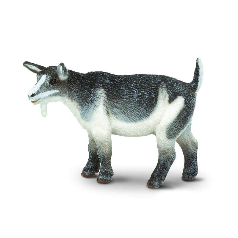 Pygmy Nanny Goat by Safari Ltd
