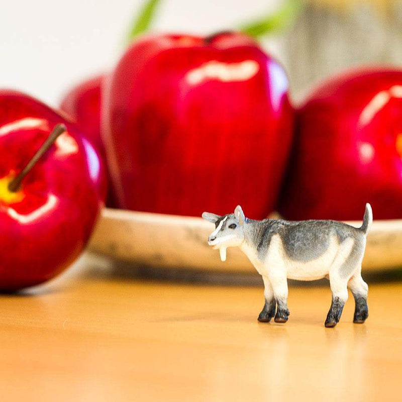 Pygmy Nanny Goat by Safari Ltd