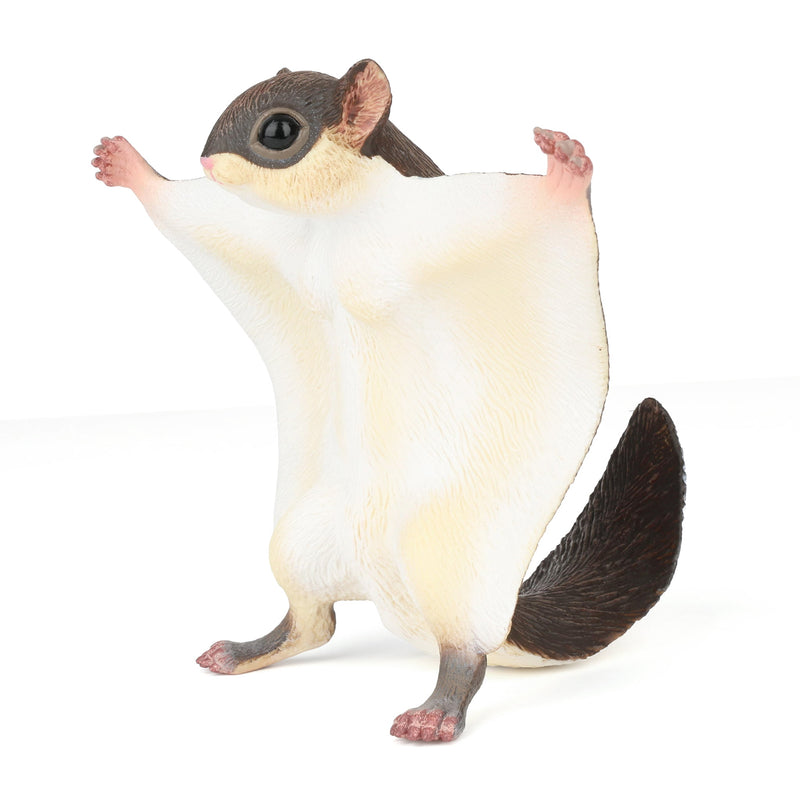 Flying Squirrel by Safari