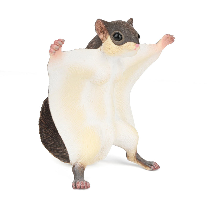Flying Squirrel by Safari