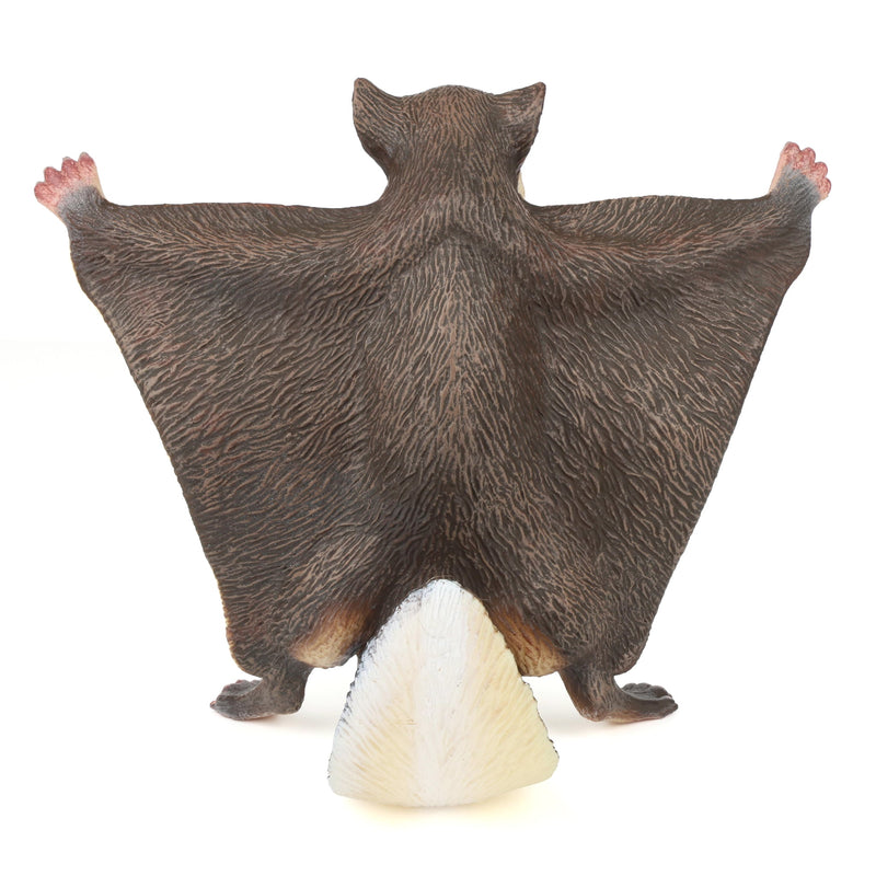 Flying Squirrel by Safari