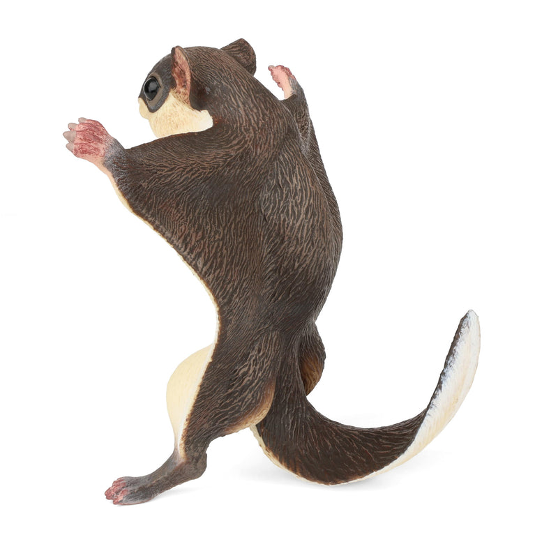 Flying Squirrel by Safari