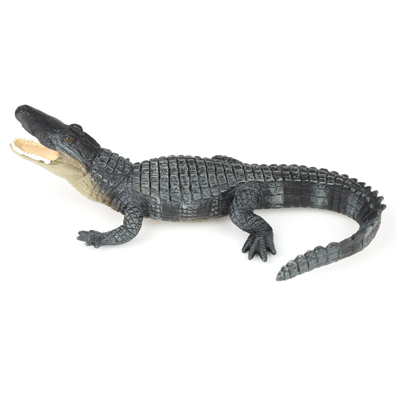 Alligator by Safari