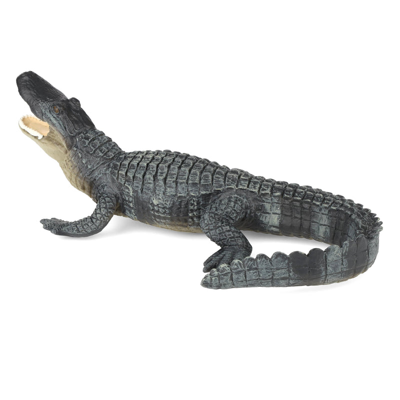Alligator by Safari