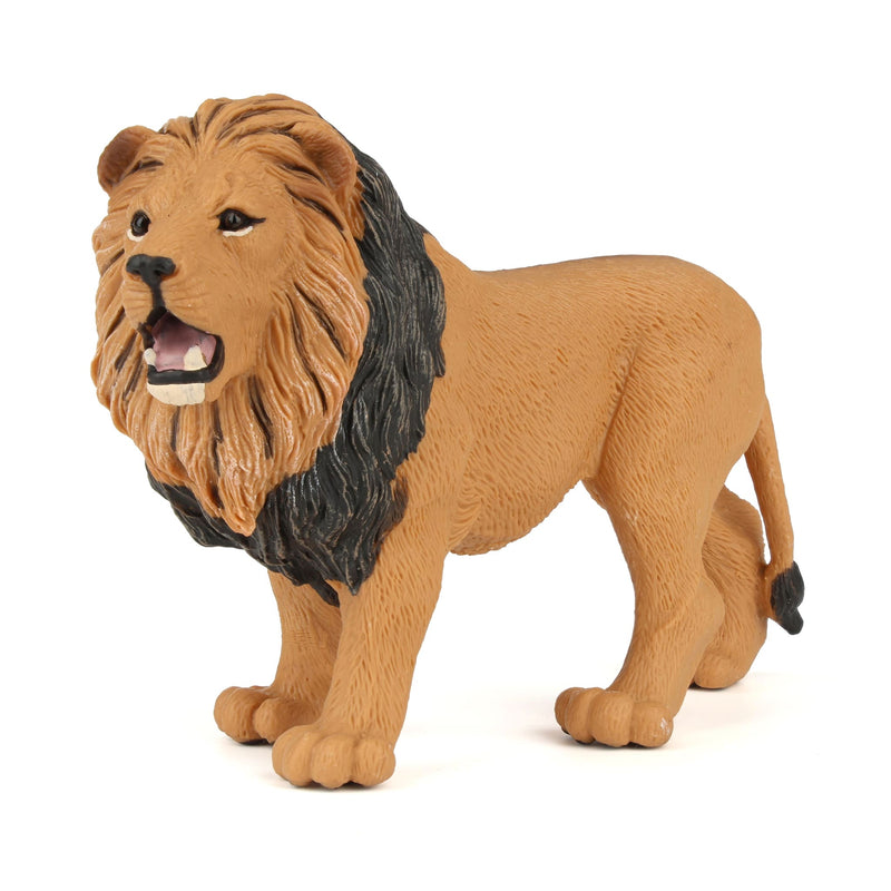 Male Lion by Safari