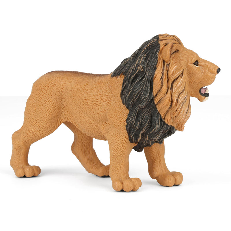 Male Lion by Safari