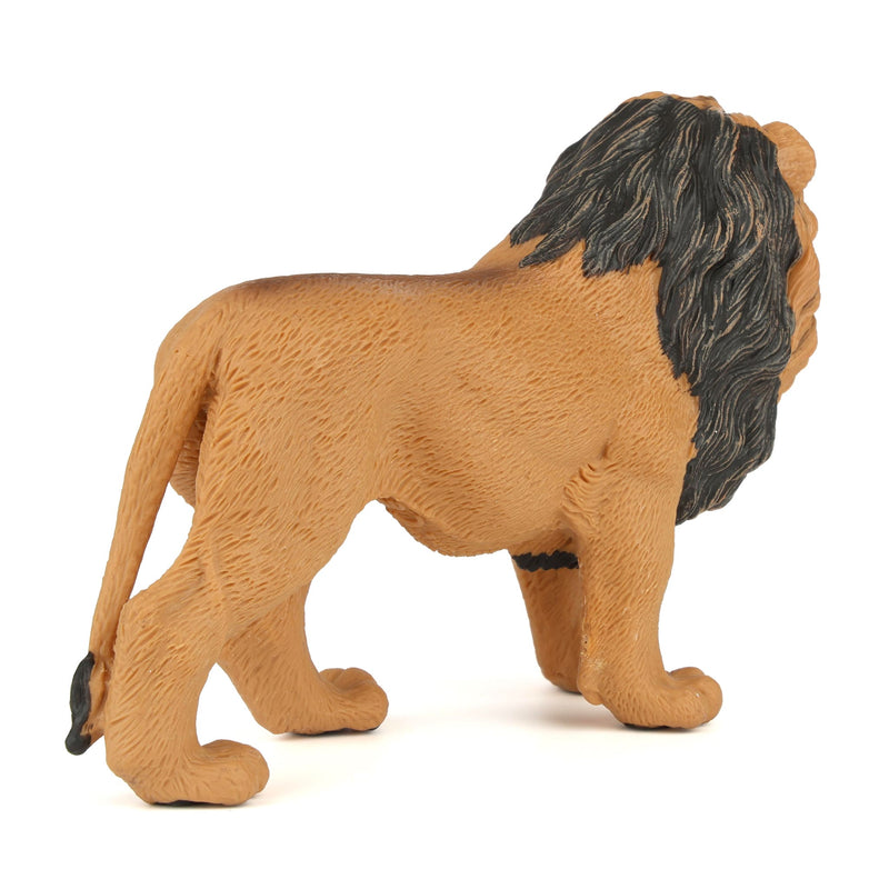 Male Lion by Safari