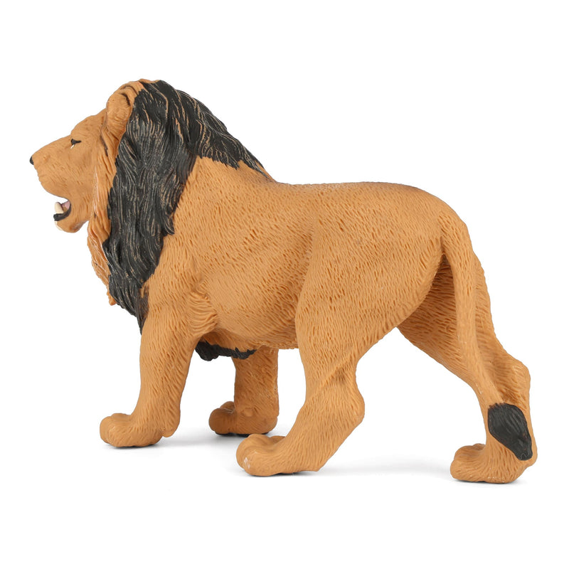 Male Lion by Safari