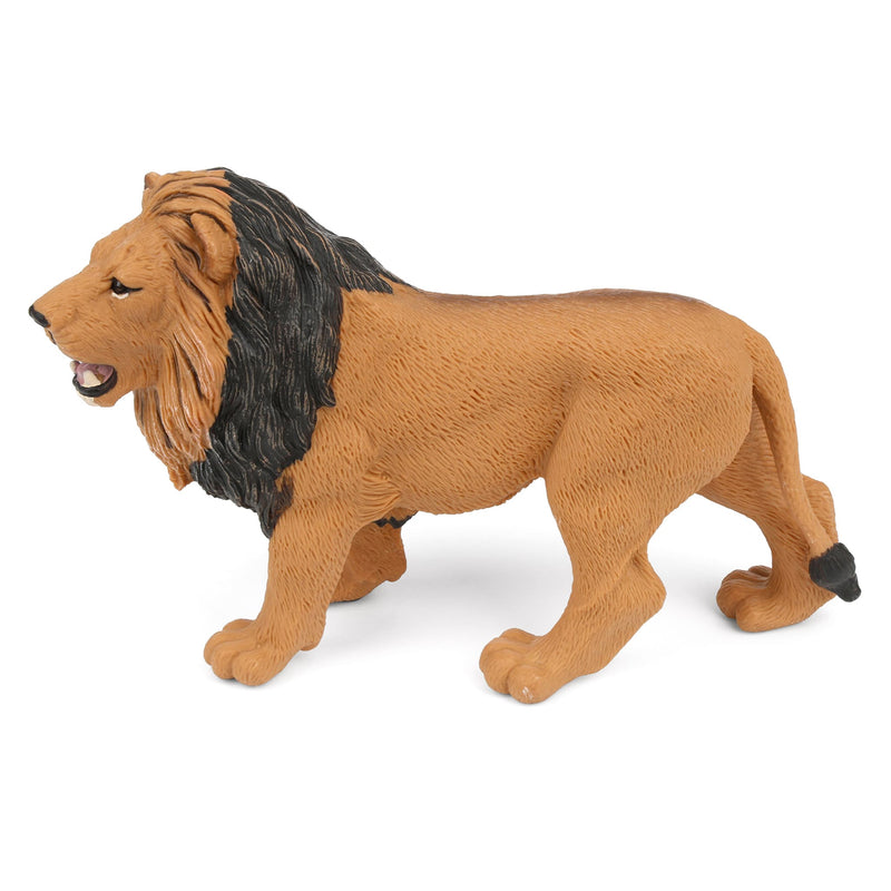 Male Lion by Safari