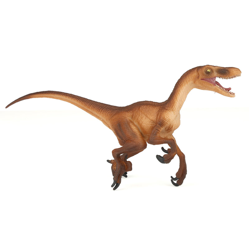 Velociraptor Dinosaur by Safari
