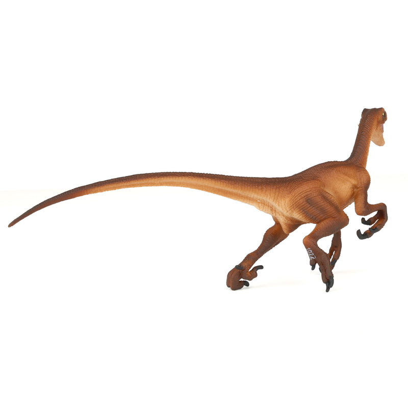 Velociraptor Dinosaur by Safari