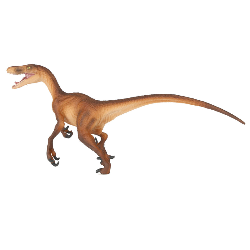 Velociraptor Dinosaur by Safari