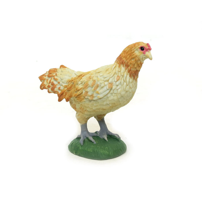 Ameraucana Chicken by Safari